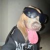 jonathane1